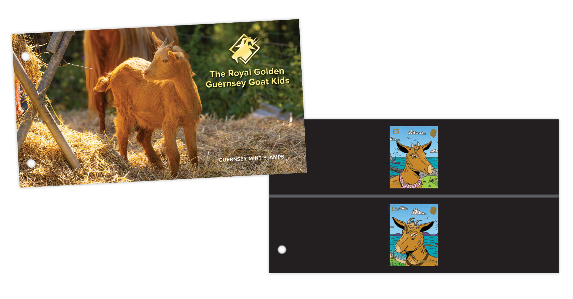 Presentation Pack